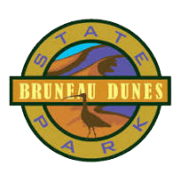 BDSP